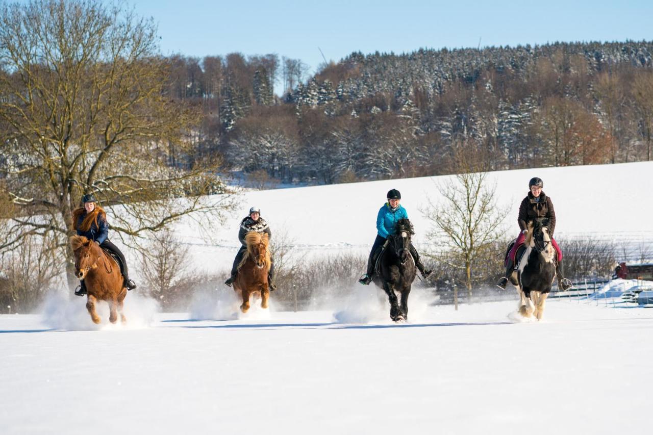 Ferienhof Homann Sauerland Brilon Eksteriør bilde