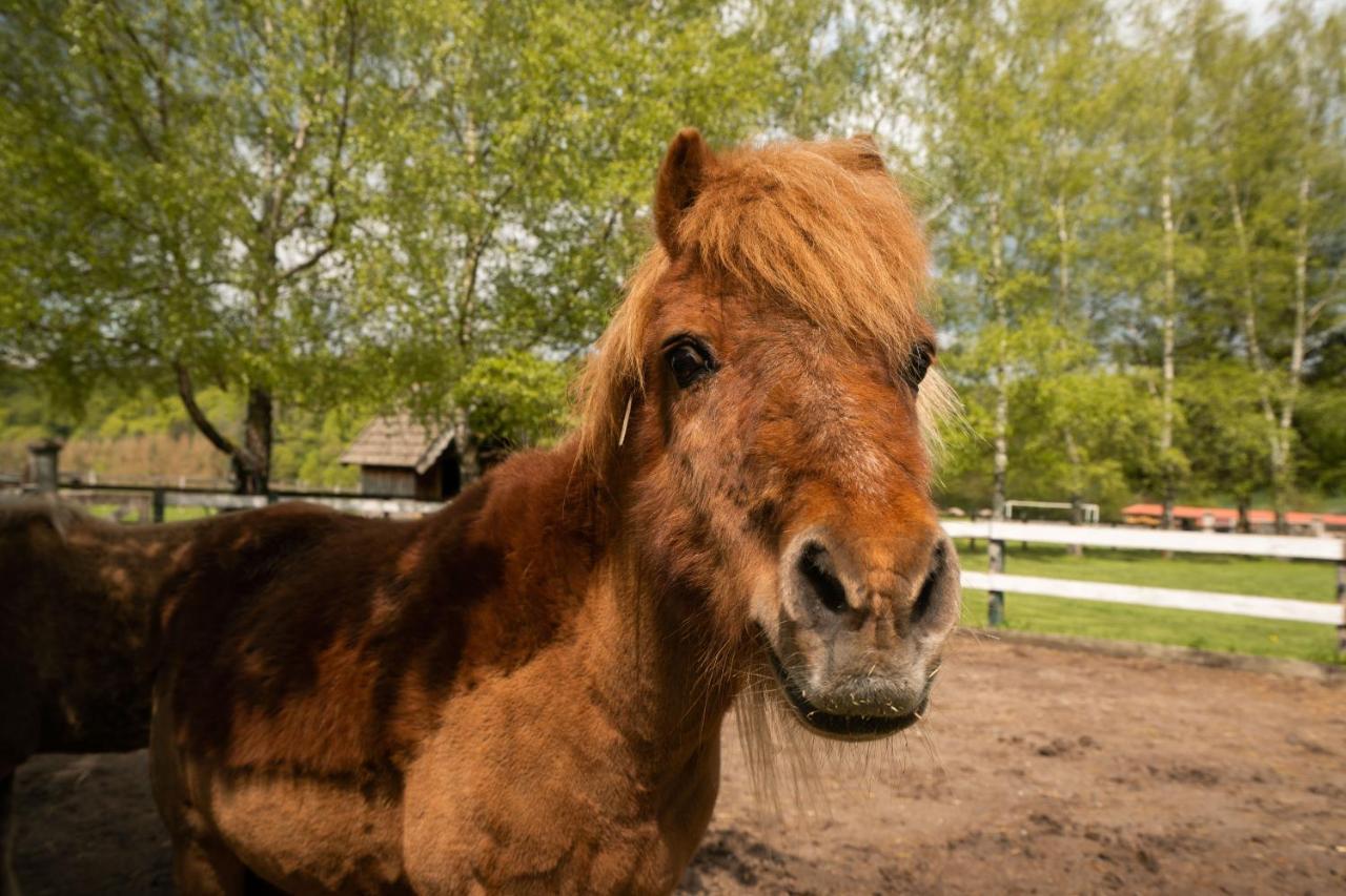 Ferienhof Homann Sauerland Brilon Eksteriør bilde